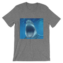 Shark t-shirt
