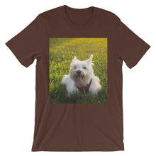 Dog t-shirt