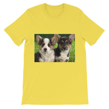 Corgis t-shirt