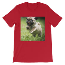 Pug t-shirt