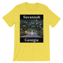 Savannah t-shirt