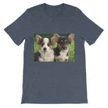 Corgis t-shirt