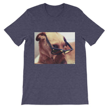 Dog with glasses t-shirt