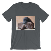 Puppies t-shirt