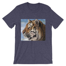 Tiger t-shirt