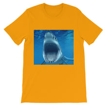 Shark t-shirt