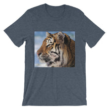 Tiger t-shirt