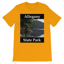 Allegany State Park t-shirt