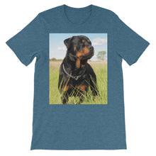 Rottweiler t-shirt