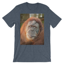 Endangered Species t-shirt