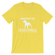 Property of Team Pitbull t-shirt