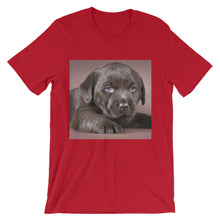Puppy t-shirt