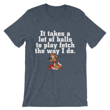 It Takes a Lot of Balls to Play Fetch t-shirt