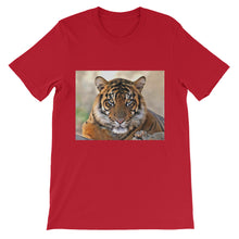 Tiger t-shirt