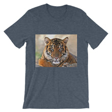 Tiger t-shirt
