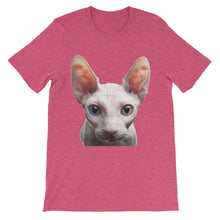 Cat t-shirt