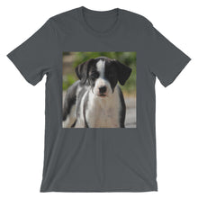 Dog t-shirt