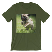 Pug t-shirt