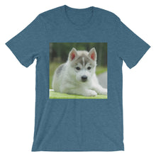 Puppy t-shirt