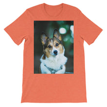 Corgi t-shirt