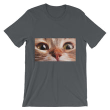 Cat t-shirt