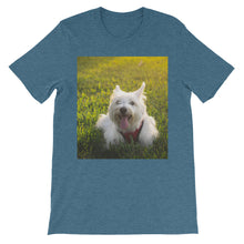 Dog t-shirt