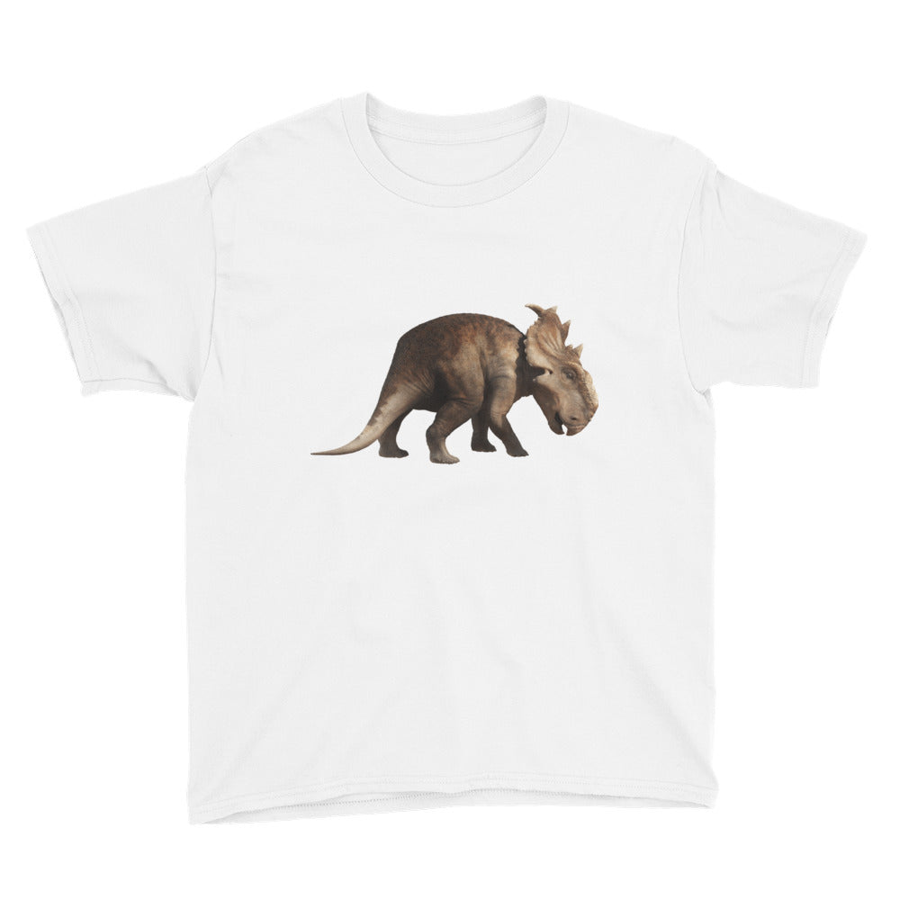 Dinosaur Youth Short Sleeve T-Shirt