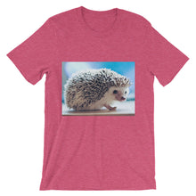 Hedgehog t-shirt