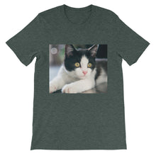 Kitten t-shirt