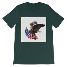 American Eagle t-shirt