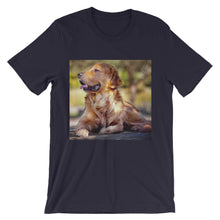 Dog t-shirt