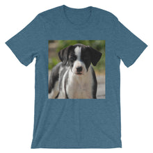 Dog t-shirt