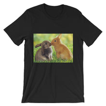 Rabbits t-shirt