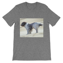 Dog t-shirt