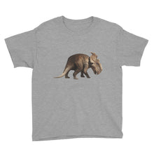 Dinosaur Youth Short Sleeve T-Shirt