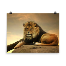 Lion poster