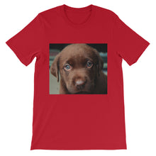 Puppy t-shirt