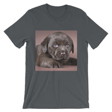 Puppy t-shirt