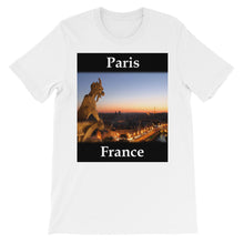 Paris t-shirt