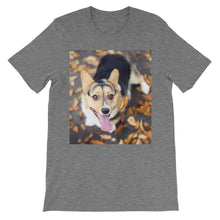 Corgi t-shirt