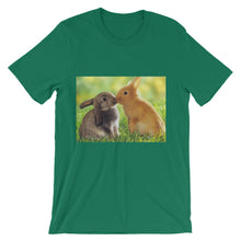 Rabbits t-shirt