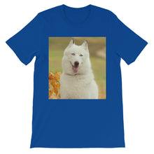 Dog t-shirt