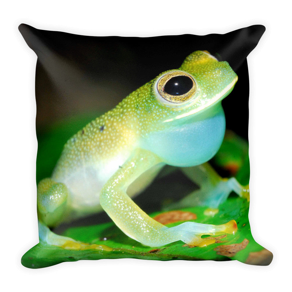 Frog Pillow