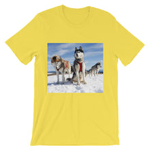 Huskies t-shirt