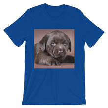 Puppy t-shirt