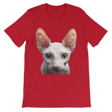 Cat t-shirt