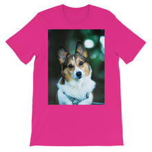 Corgi t-shirt