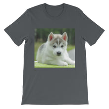 Puppy t-shirt