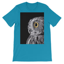 Owl t-shirt