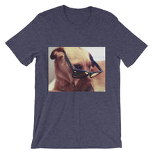 Dog with glasses t-shirt